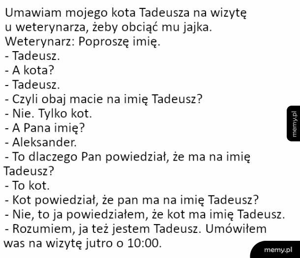 Tadeusz