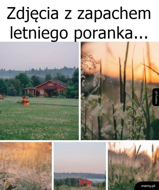 Zdjęcia z zapachem letniego poranka