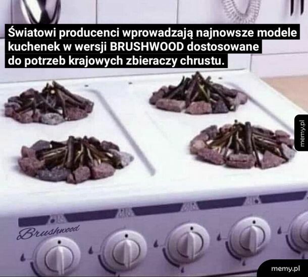 Brushwood Cooker