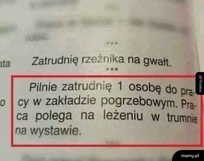 Praca szuka człowieka