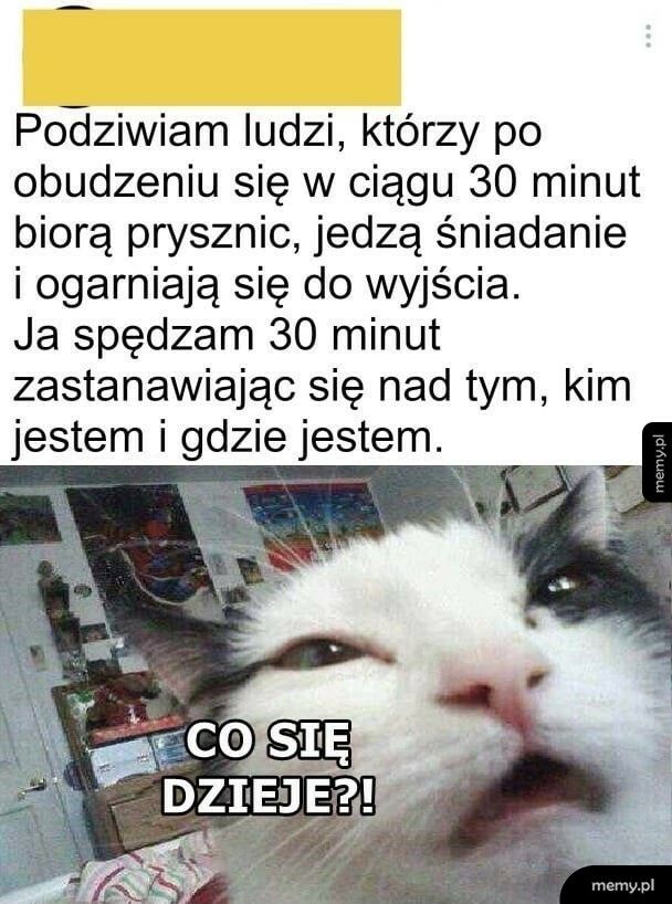 Różnie z tym bywa