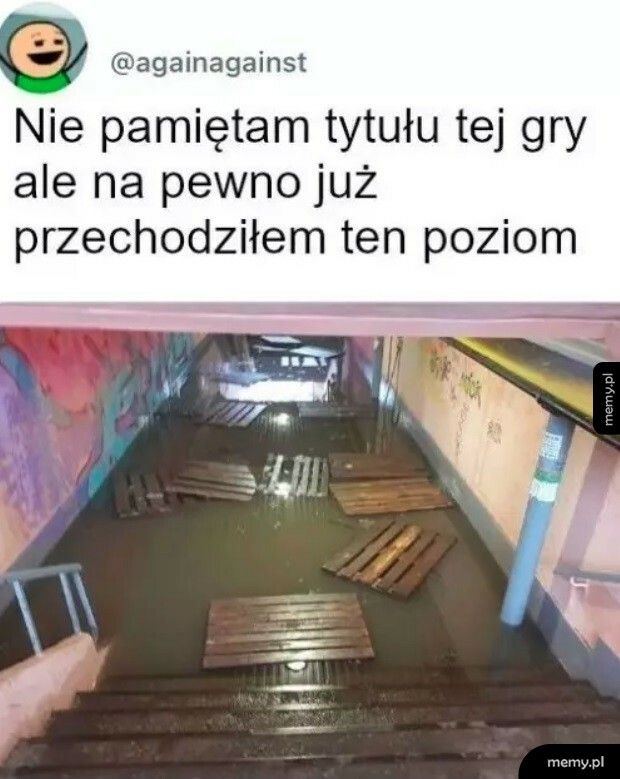 Wygląda znajomo