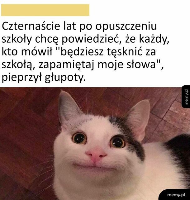 Jakoś nie tęsknię