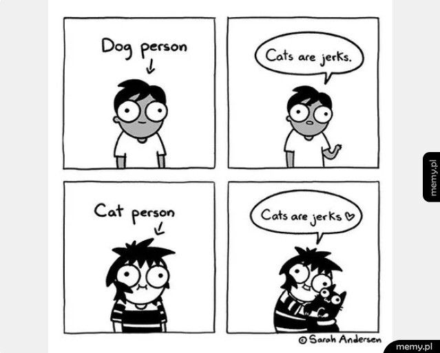 Koty vs psy
