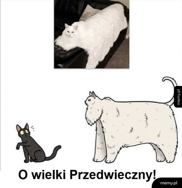 Wielki koteł