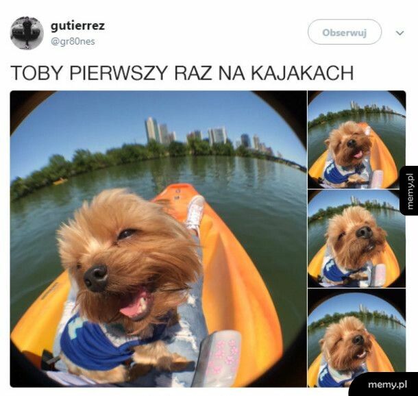 Chyba mu się podoba