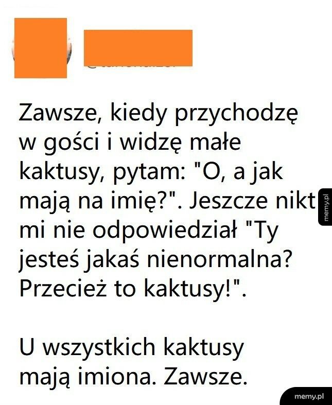 Kaktusy