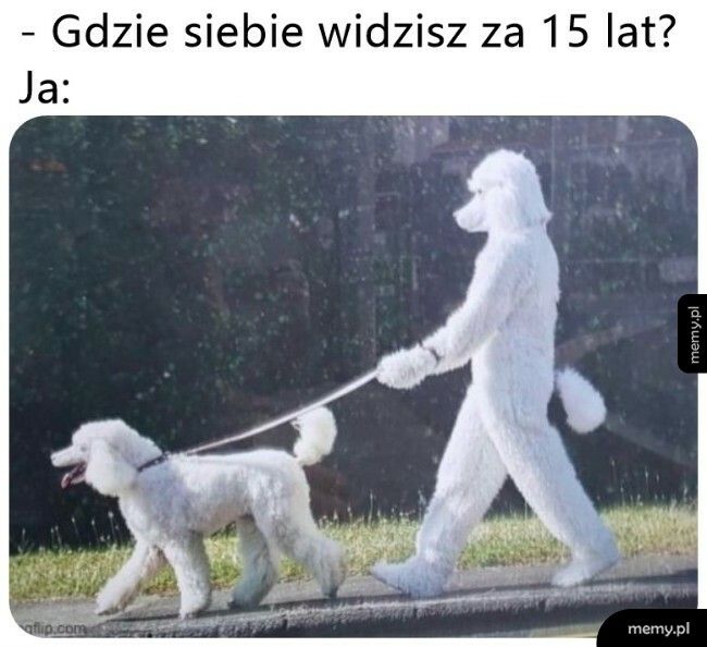 Plan na przyszłość