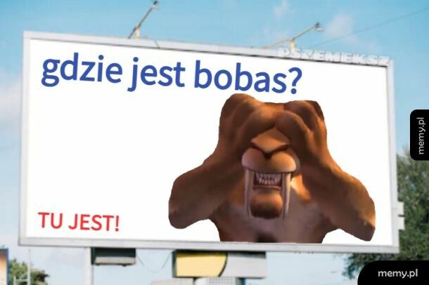 Gdzie jest bobas?