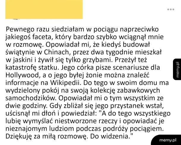 Towarzysz podróży