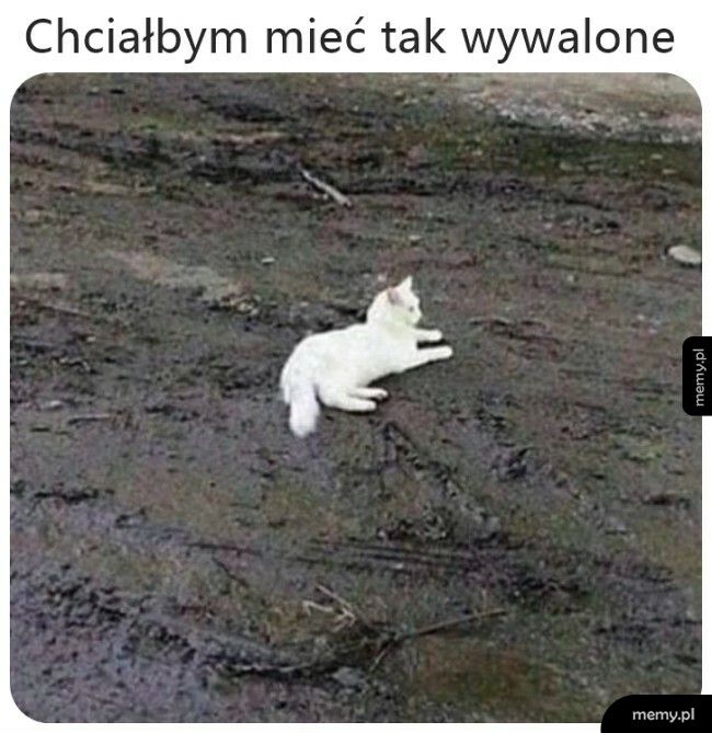 Wywalone