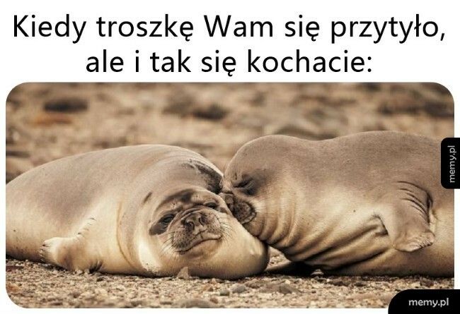 Miłość