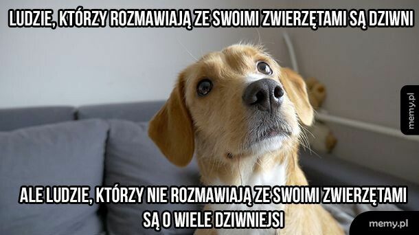 Rozmawiajcie ze zwierzętami