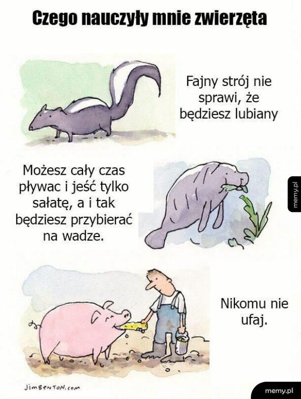 Czego nauczyły mnie zwierzęta