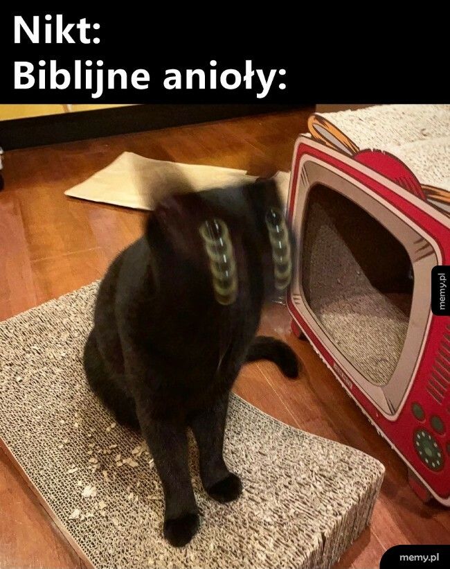 Biblijne anioły