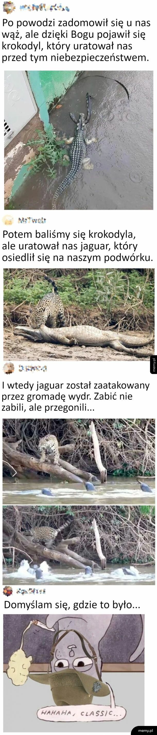 A zaczęło się niewinnie od powodzi