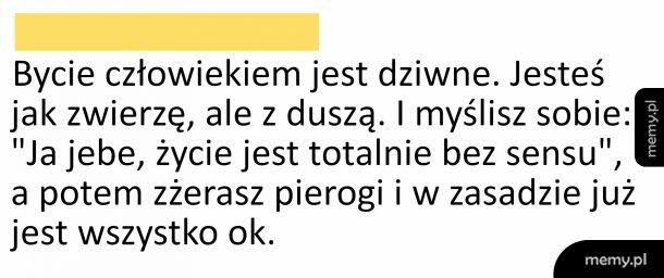 Pierogi dobre na wszystko