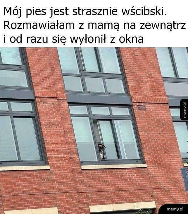 Usłyszał znajomy głos