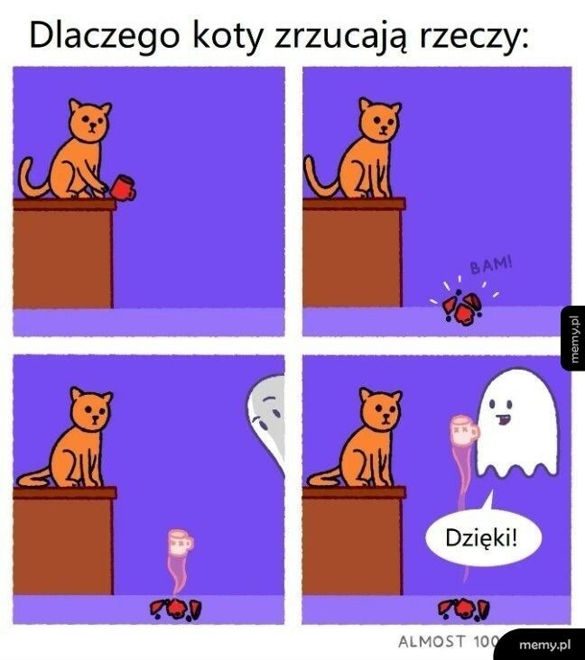 Dlaczego koty zrzucają rzeczy