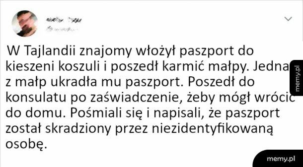 Złodziej paszportów