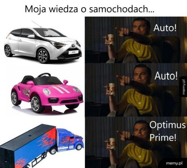 Wiedza o samochodach