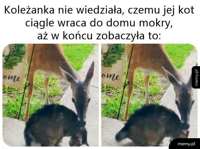 Już po myciu