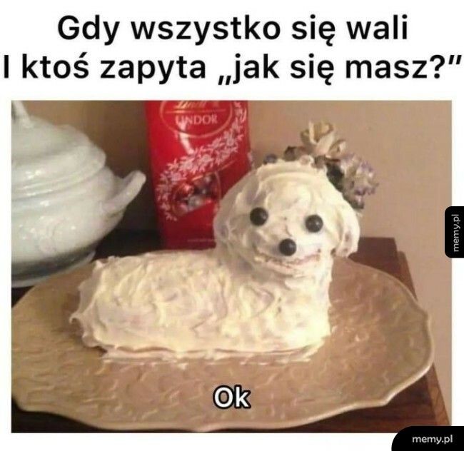 Wszystko ok