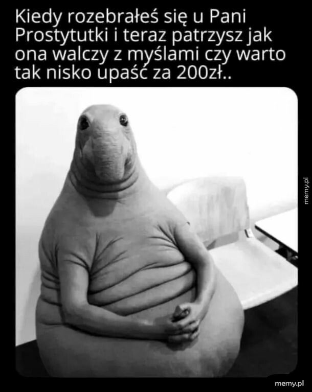 Dwieście to za mało, piękny kawalerze :P