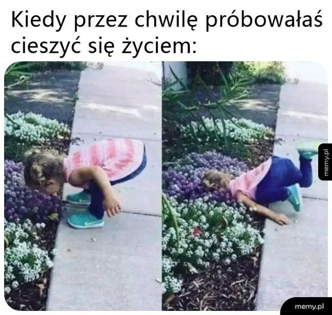 Szybko poszło