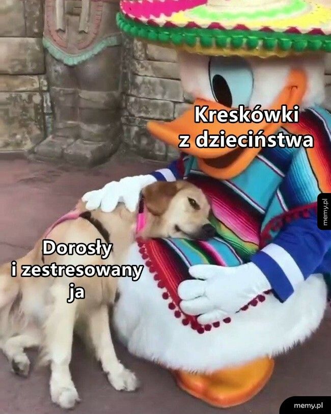 Coś na odstresowanie