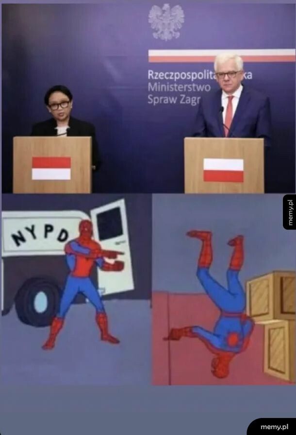 Spotkanie Polska - Indonezja