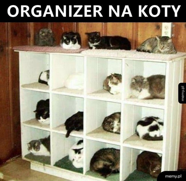 Organizer na koty