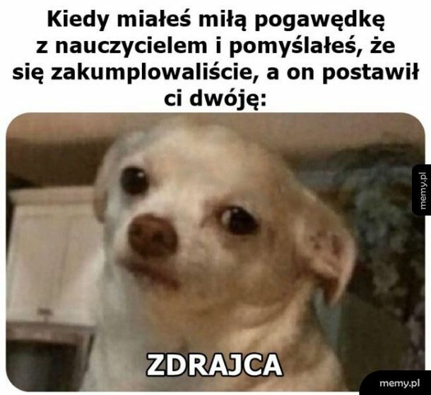 Pogawędka z nauczycielem