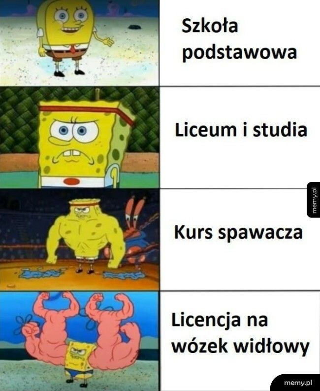 Licencja na wózek widłowy