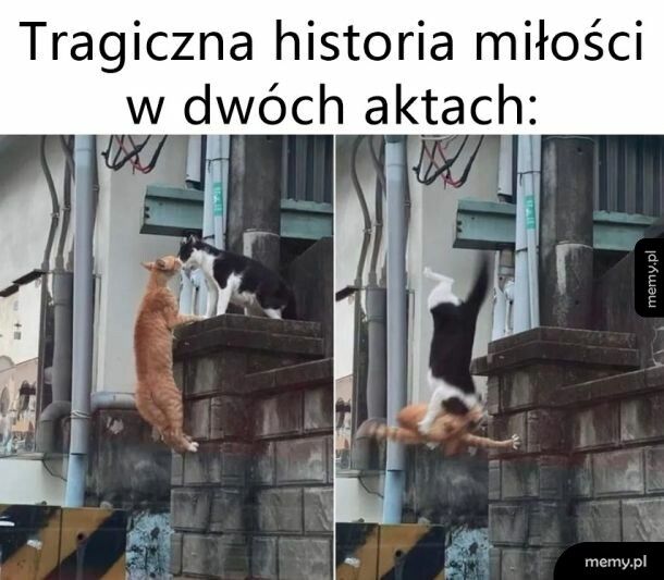 Tragiczna historia