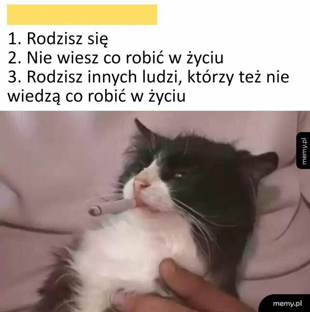 Czasem tak bywa