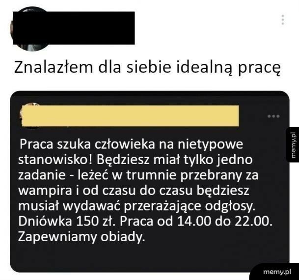 Idealna praca