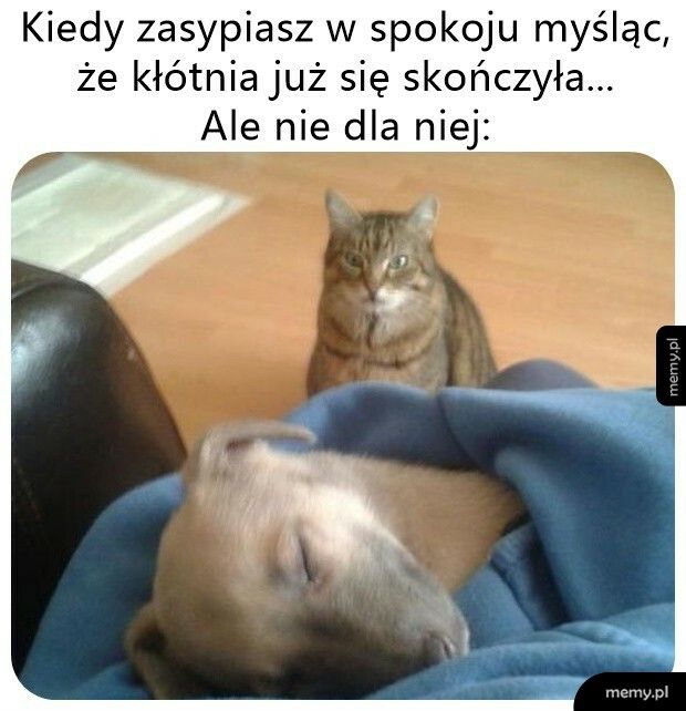 To jeszcze nie koniec