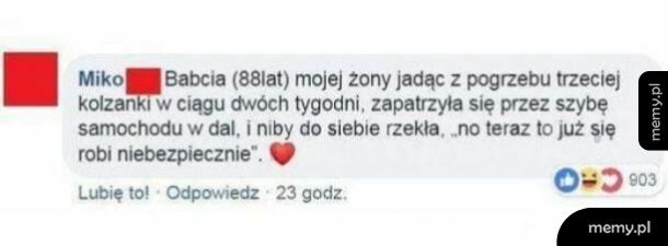 Las niebezpiecznie zbliżył się do okien...