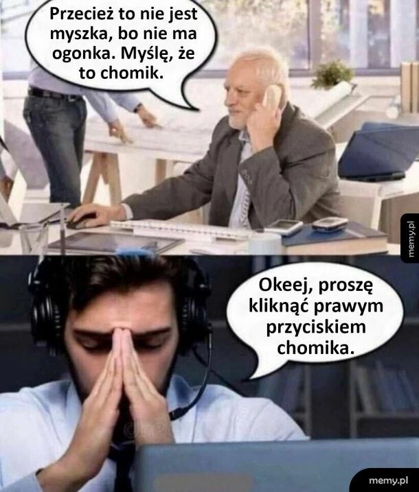 Myszka bez ogonka