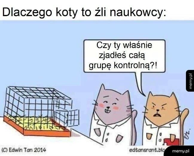 Koty naukowcy