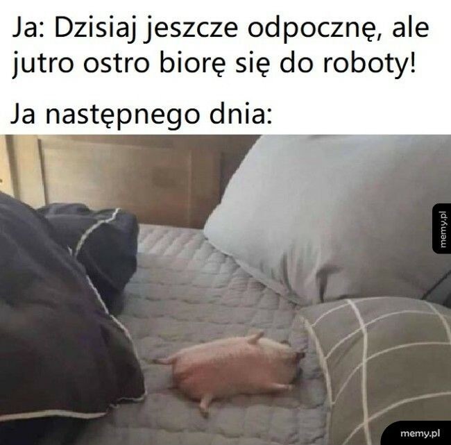 Jutro wszystko zrobię