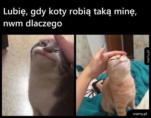 &macr;\_₍⸍⸌̣ʷ̣̫⸍̣⸌₎_/&macr;