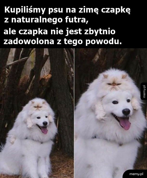 Czapka z naturalnego futra