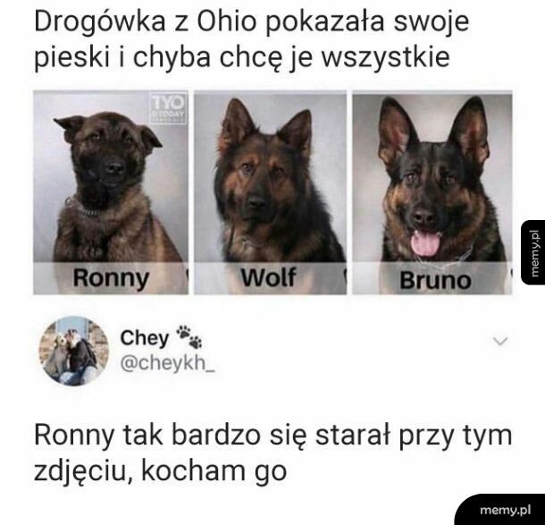 Ronny się postarał