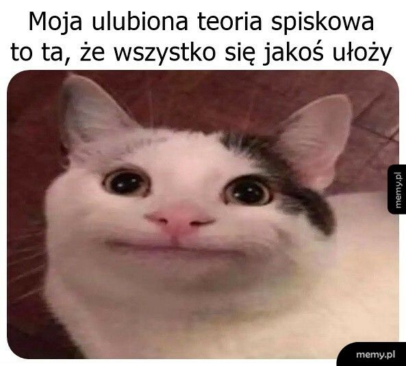 Zdecydowanie numer jeden