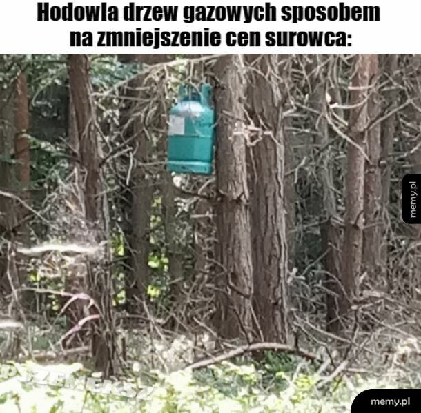 Trzeba sposobem