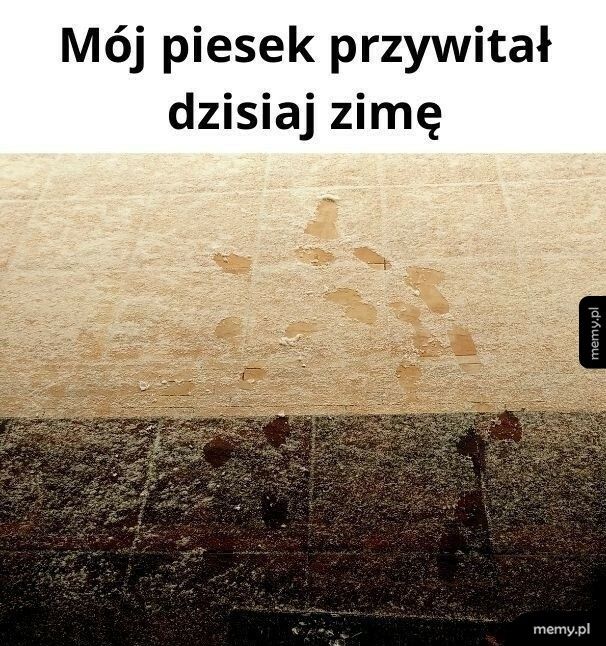 Zimno, nie idę