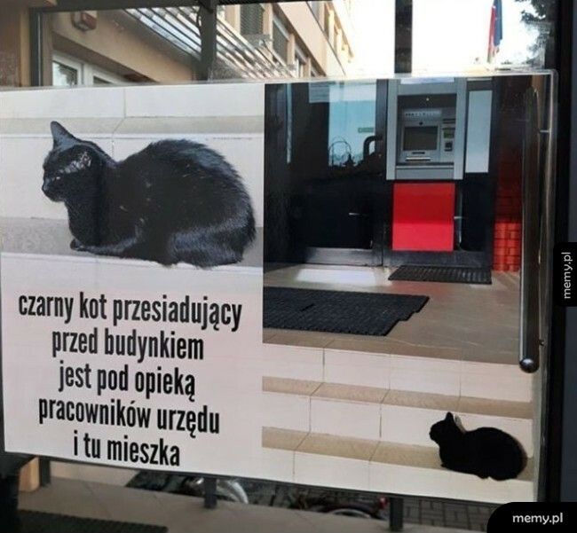 Przed urzędem w Piasecznie