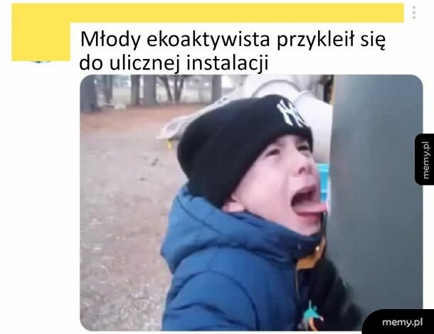 Ekoaktywsta